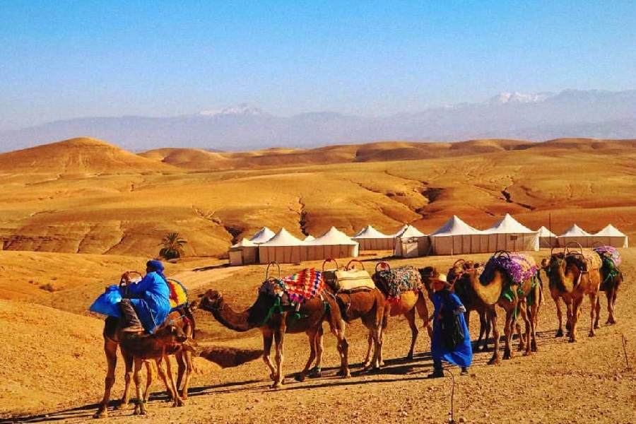 Camel ride in Agafay desert