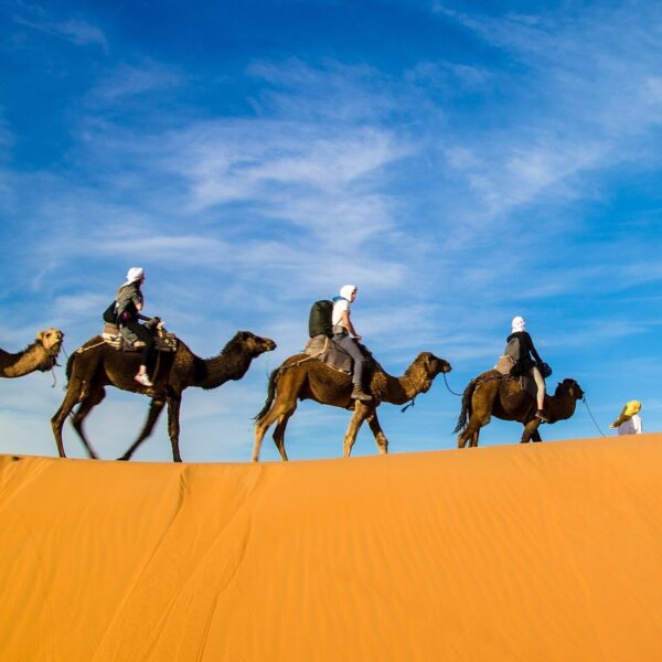 7 days tour From Marrakech to desert