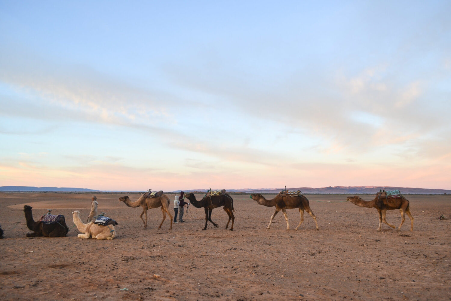 Zagora desert