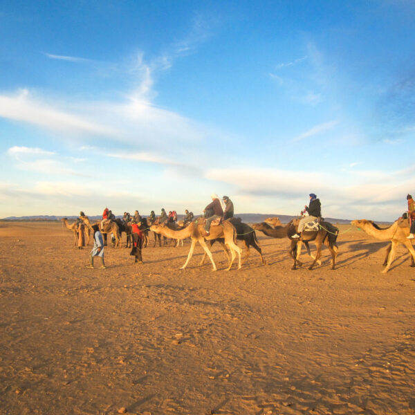 Zagora desert