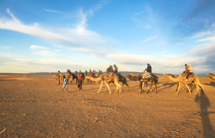 Zagora desert