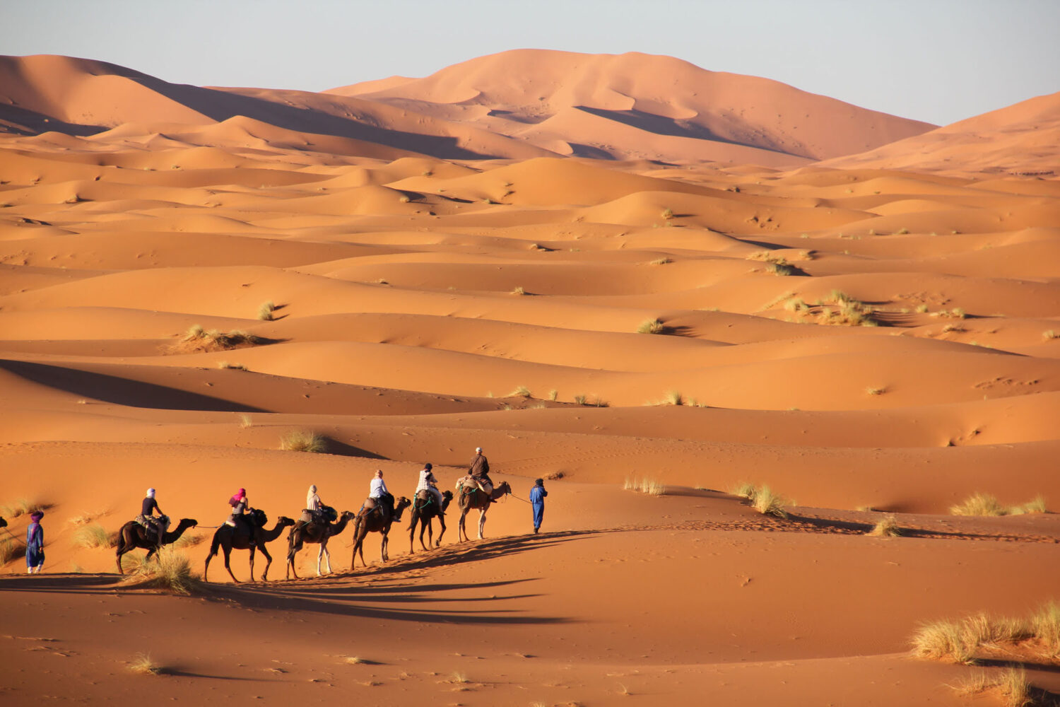 Merzouga desert