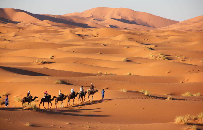 Merzouga desert