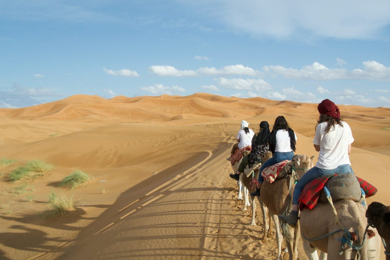 Morocco desert trips
