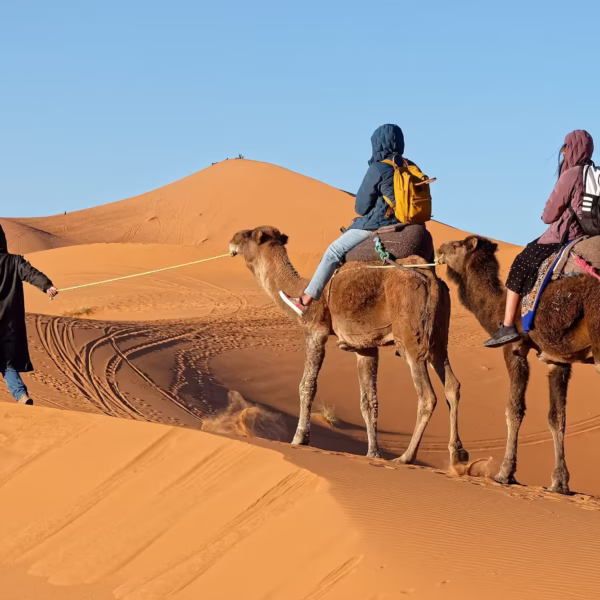 9 days tour from Casablanca to desert