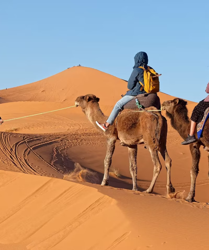 9 days tour from Casablanca to desert